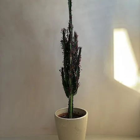 Loft With Parkside View דירה אמסטרדם