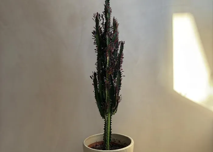 Loft With Parkside View דירה אמסטרדם